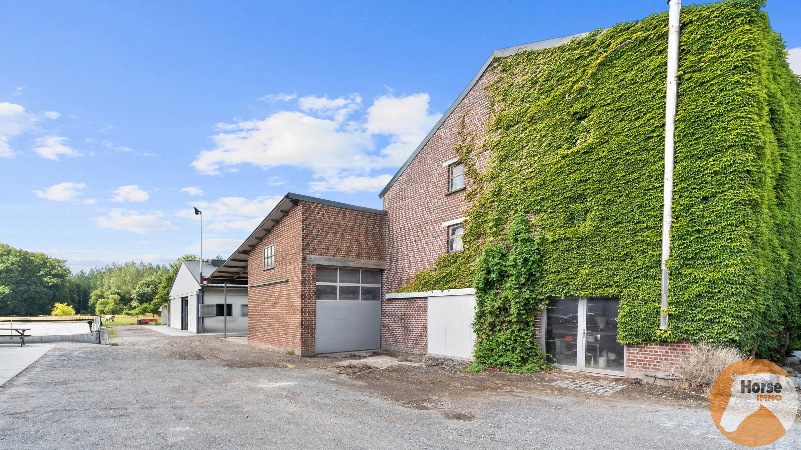 DILBEEK - Unieke paardeninfrastructuur op +-5,6ha foto 7