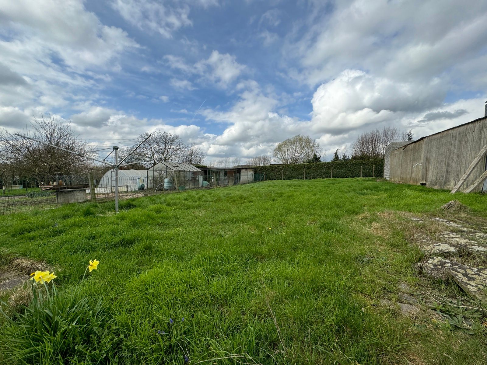 OPTIE-OPTIE-OPTIE Te renoveren woning met veel potentieel foto 3