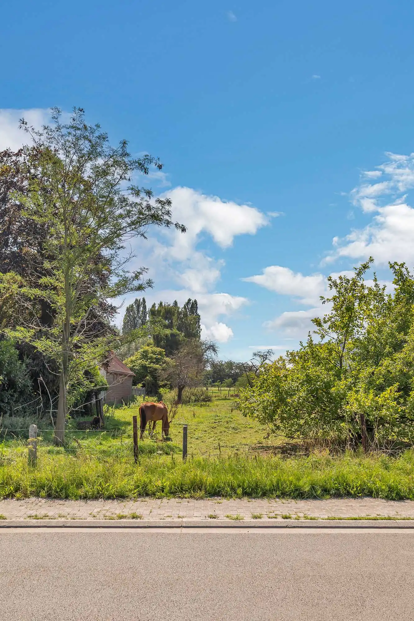 Bouwgrond voor HOB op een rustige en landelijke locatie foto 8