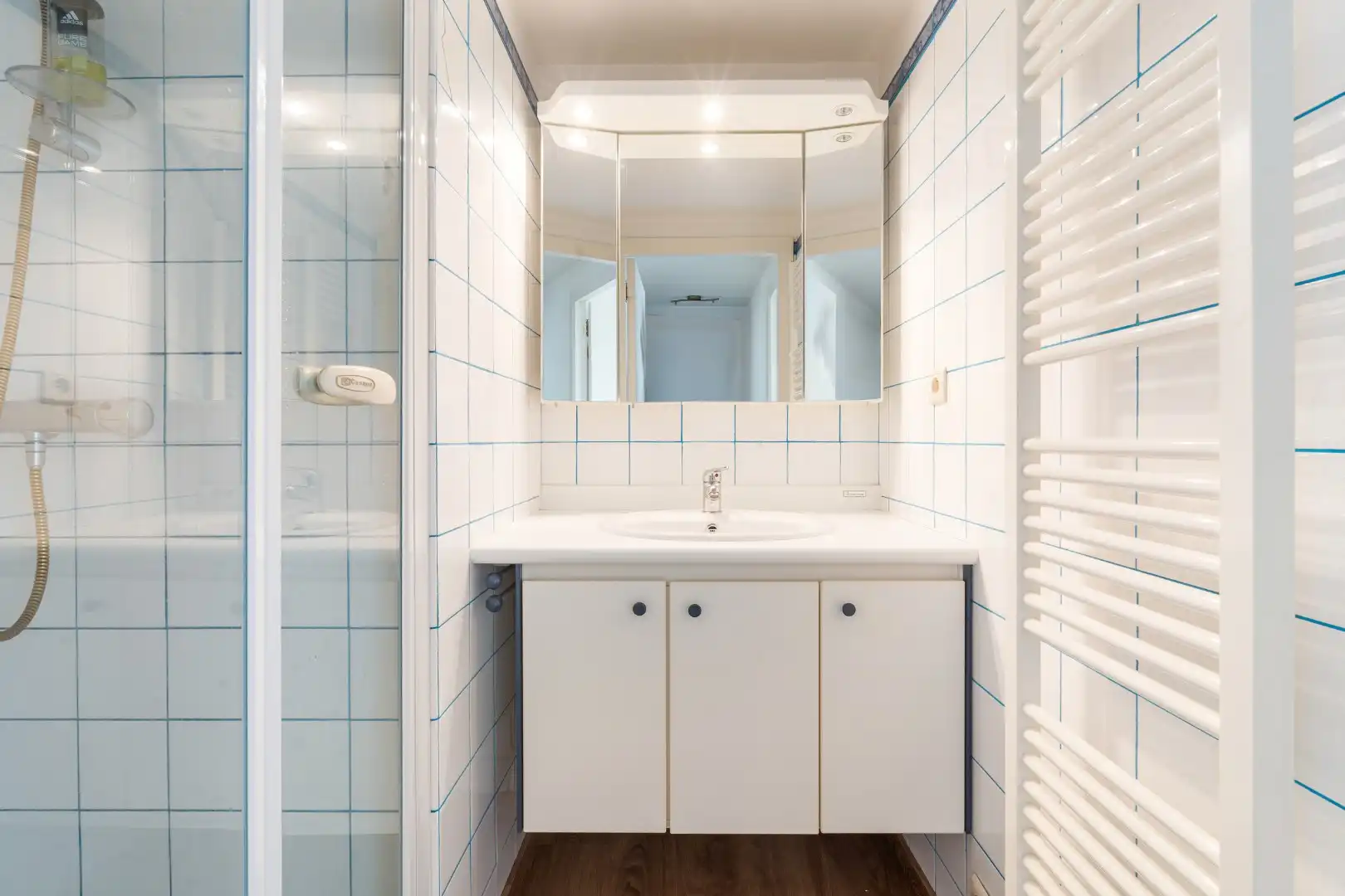 APP. 4 SLAAPKAMERS IN CENTRUM MET PANORAMISCH ZICHT OP ZEE EN STAD foto 14