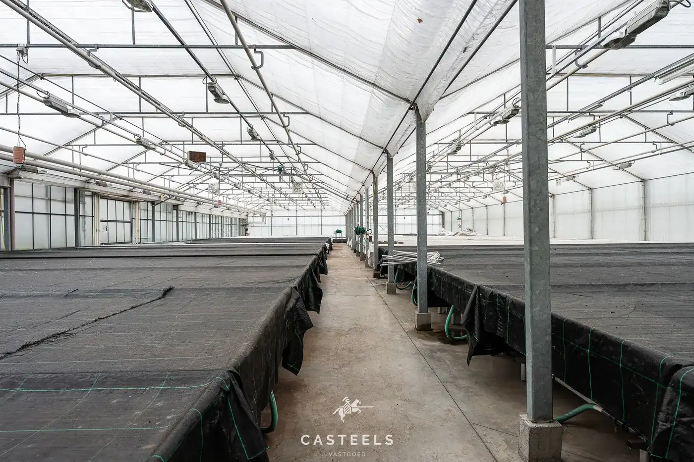 Sierteeltbedrijf 1,58 ha te koop op een toplocatie foto 6
