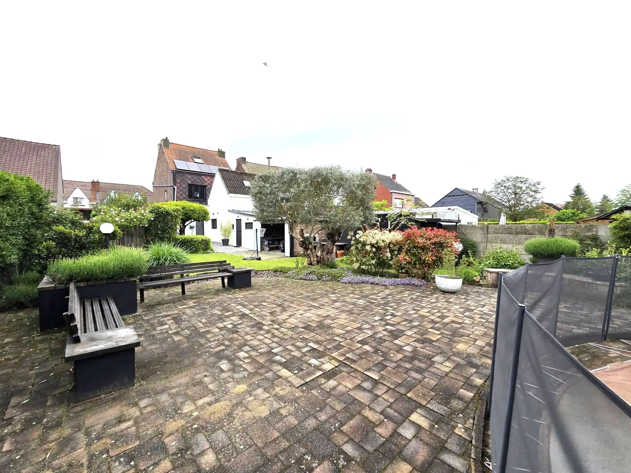 Een Steenweg die geen Steenweg is...maar wel een rustige weg... foto 24