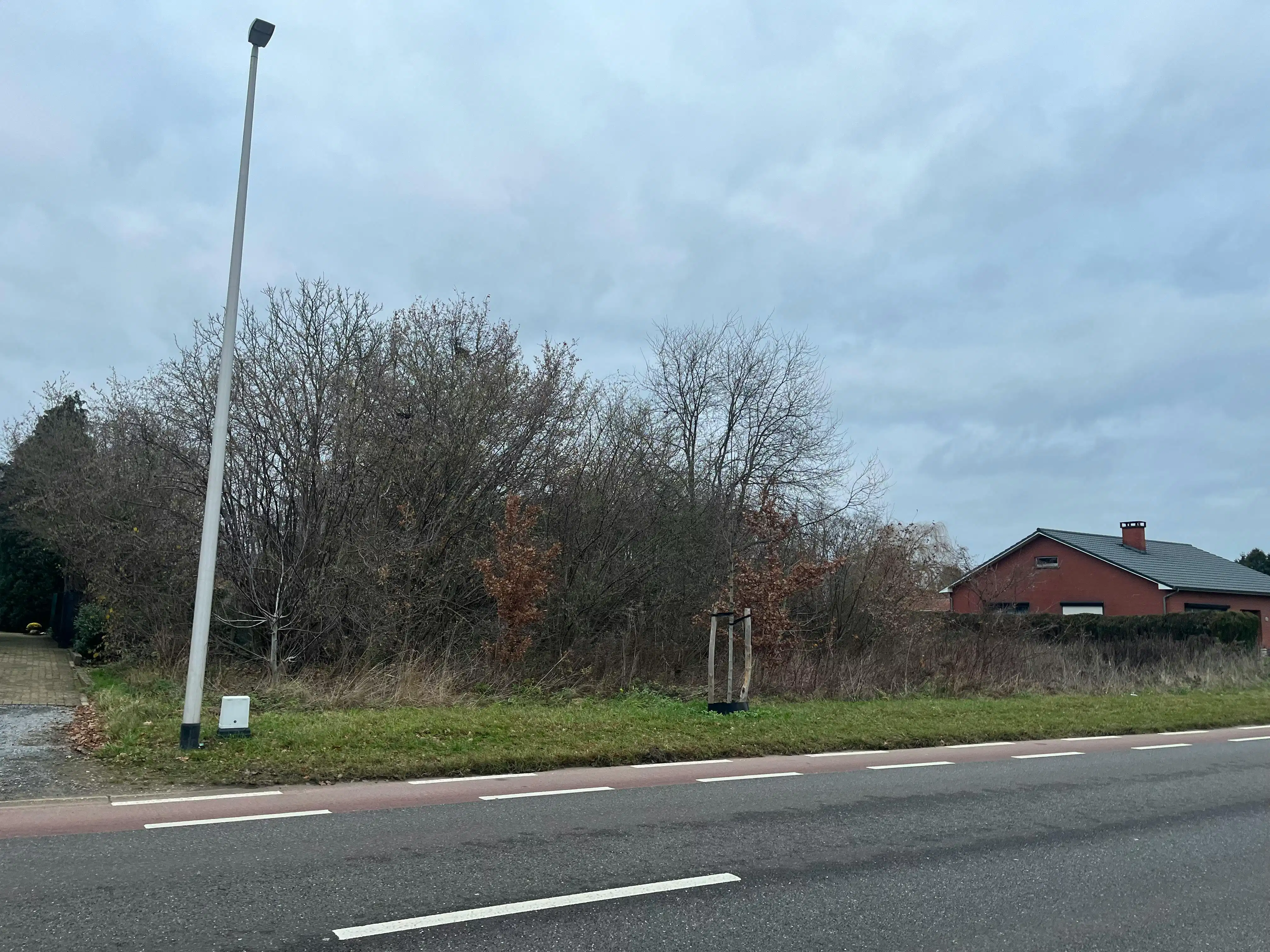 Ruime bouwgrond voor open bebouwing op toplocatie nabij Beringen foto 12