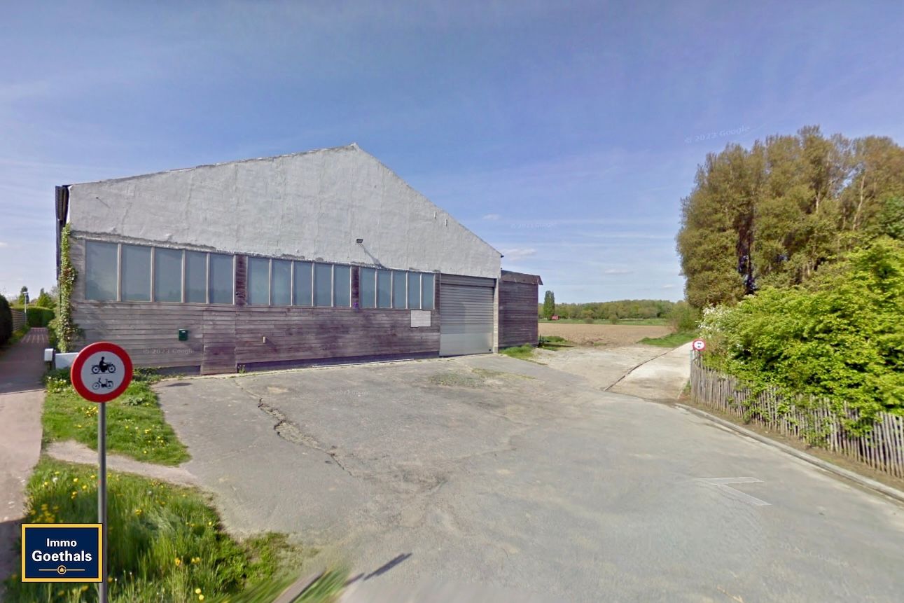 Vergunde manége - paardenfokkerij. foto 6
