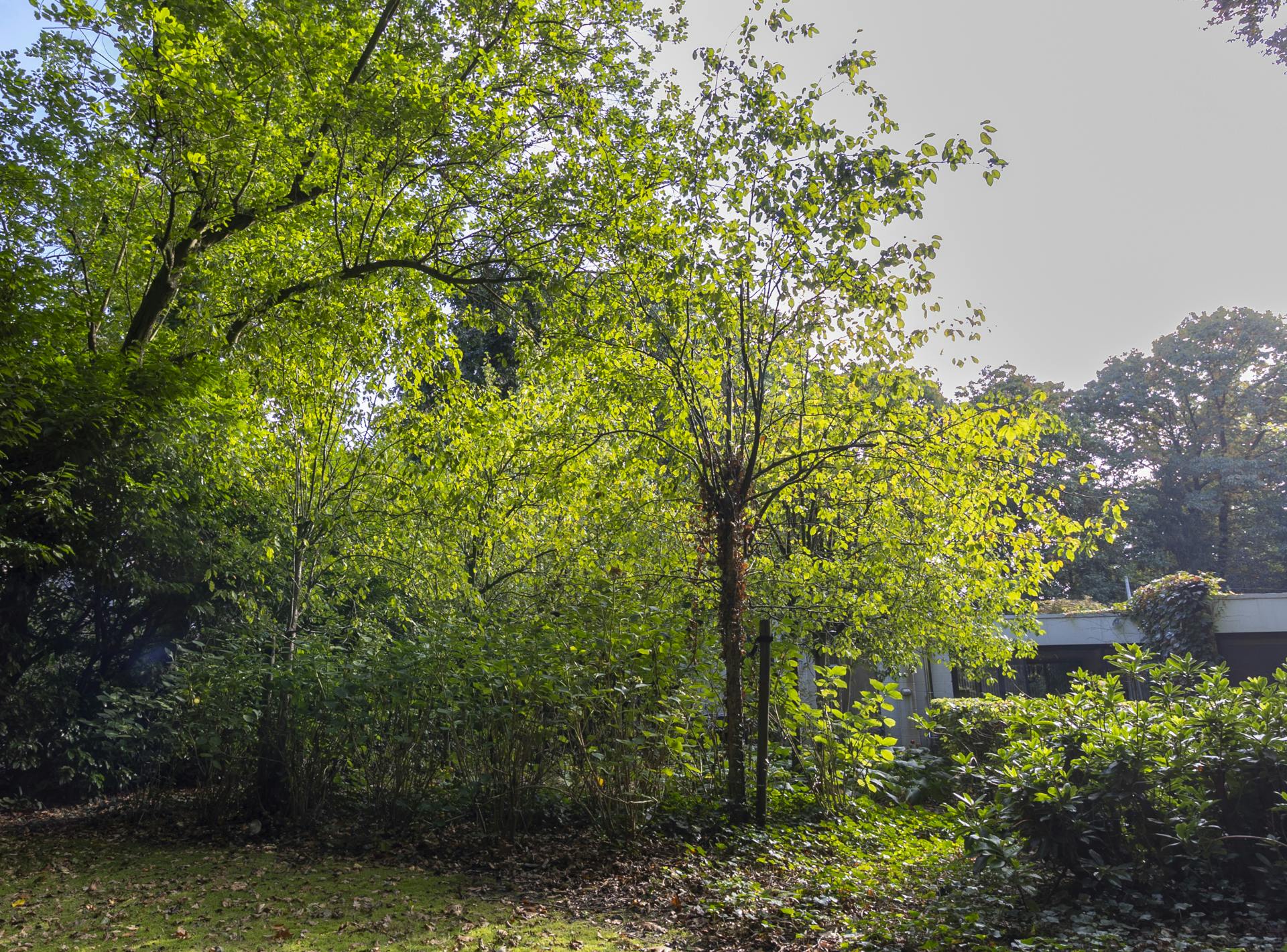 Architectuurwoning door bOb Van Reeth op 2.303m² in Schilde foto 29