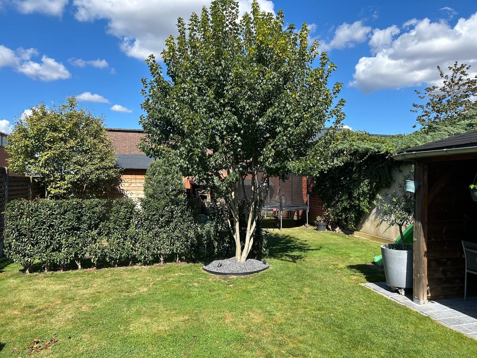 Halfopen woning met tuin, garage en pergola foto 3