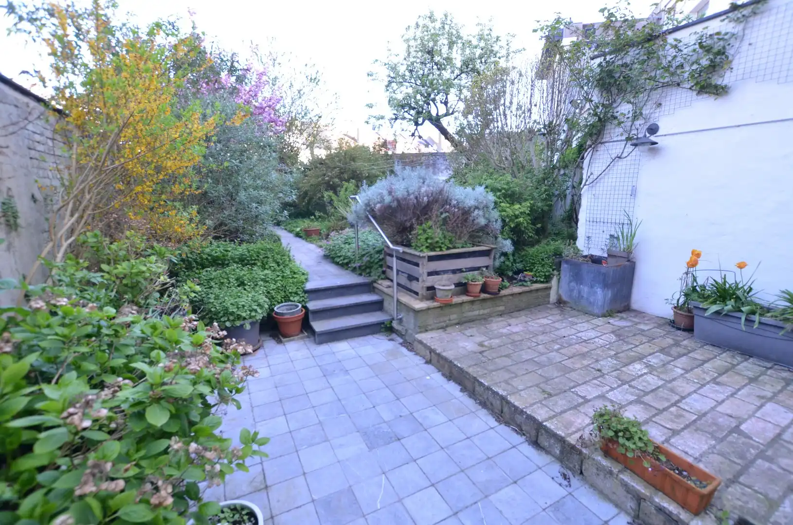 Gerenoveerd ruim woonhuis foto 11