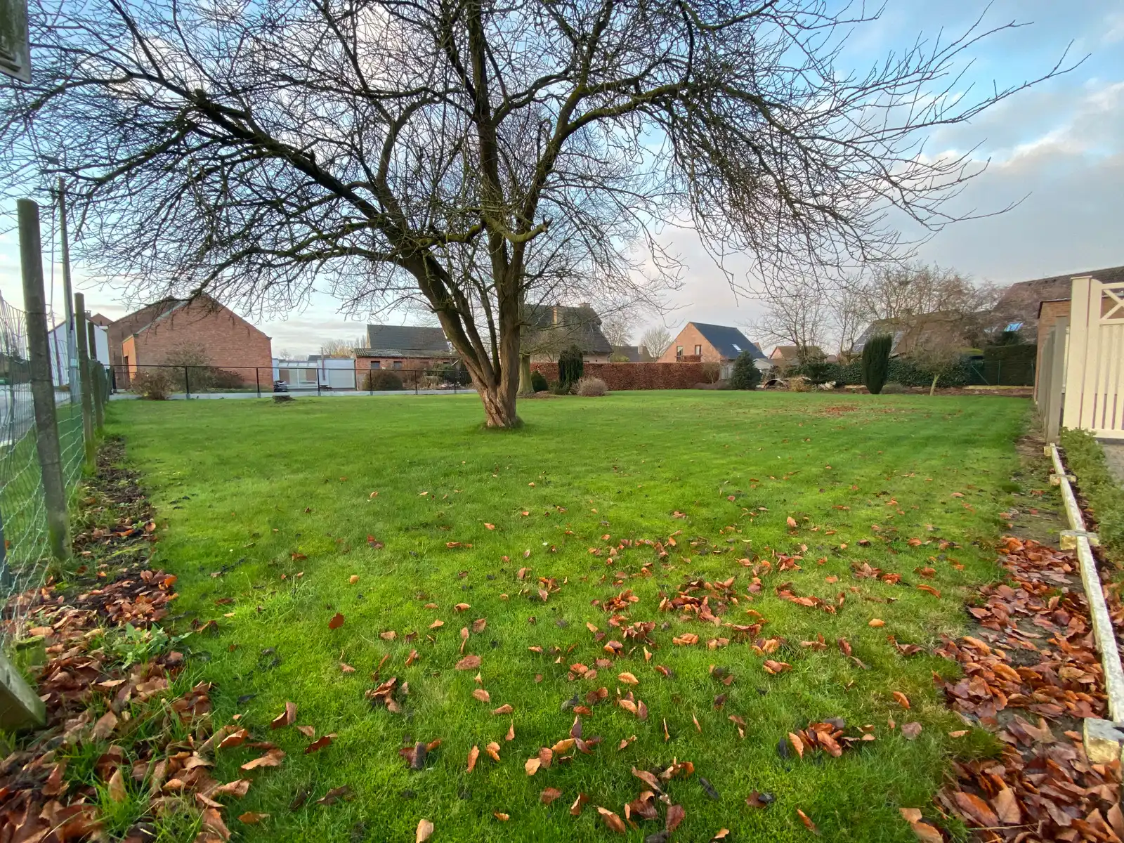 Laatste lot in Peizegem: landelijke bouwgrond voor een HOB  foto 6