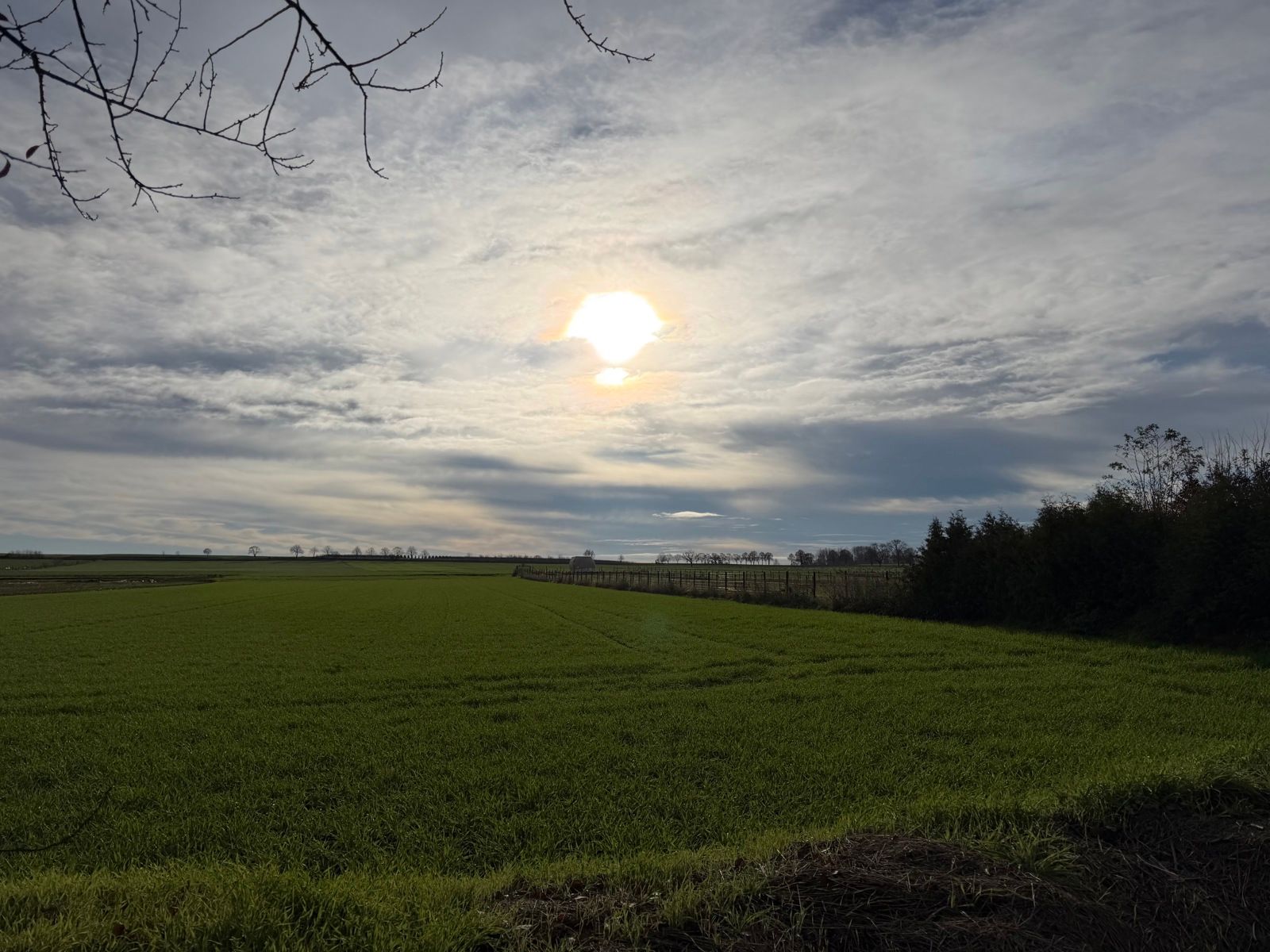 Op te frissen woning 3 slpks te Wommersom (Linter) foto 22