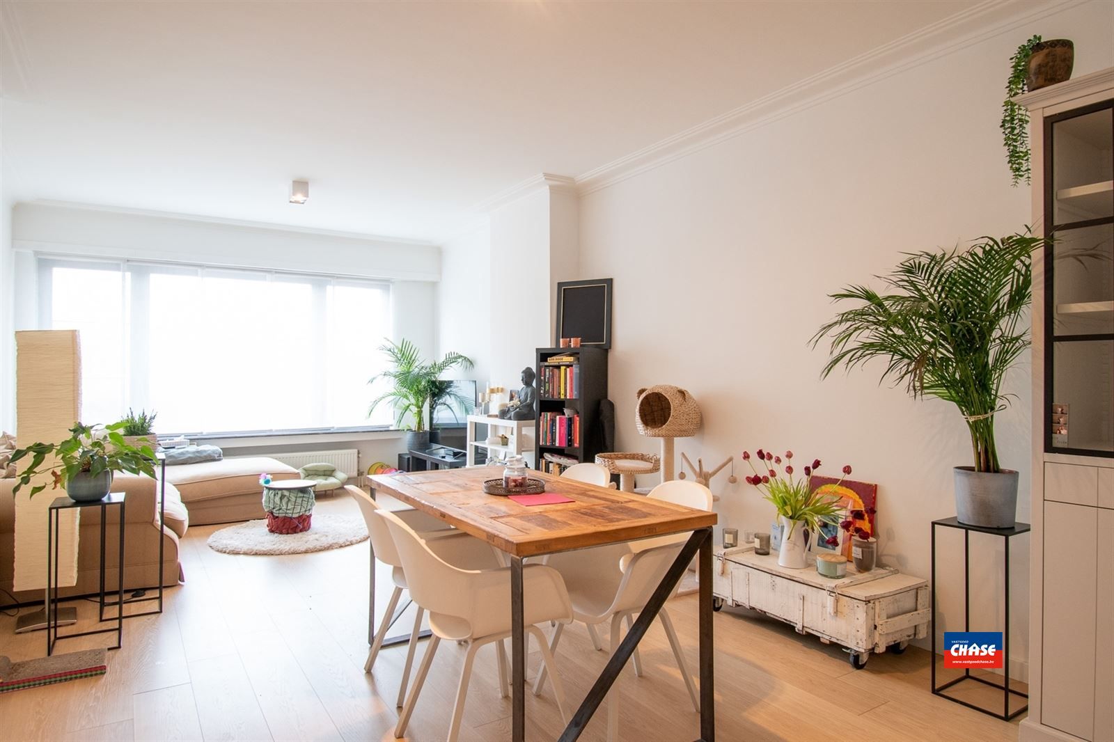 Gelijkvloersappartement met 1 slpk + tuin foto 5