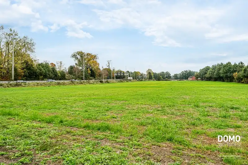 UITZONDERLIJK PERCEEL VAN 2 HA 50 A MET RUIME WONING EN TAL VAN MOGELIJKHEDEN foto 5