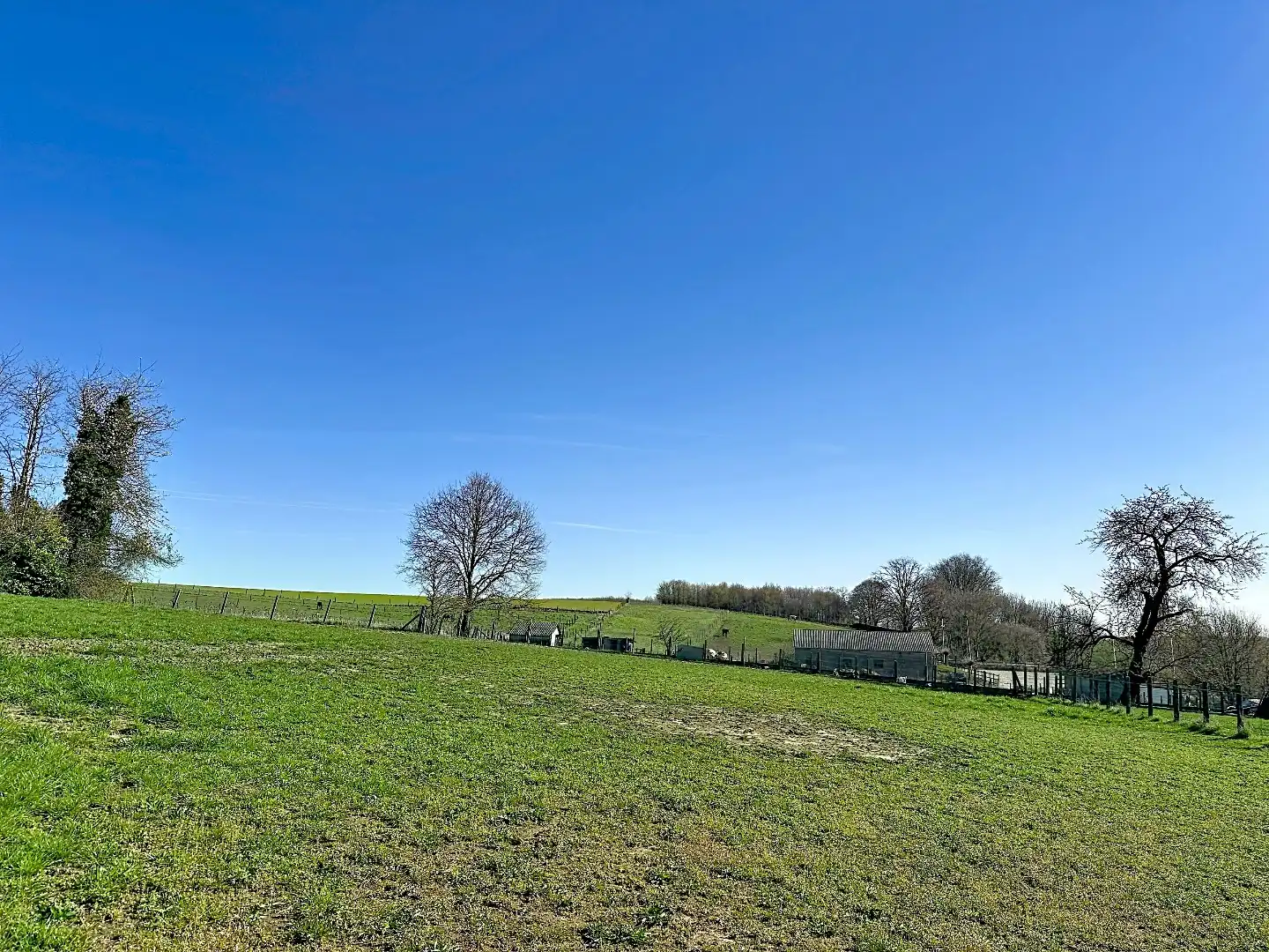 Charmante woning met uitzonderlijk potentieel te Lubbeek foto 21