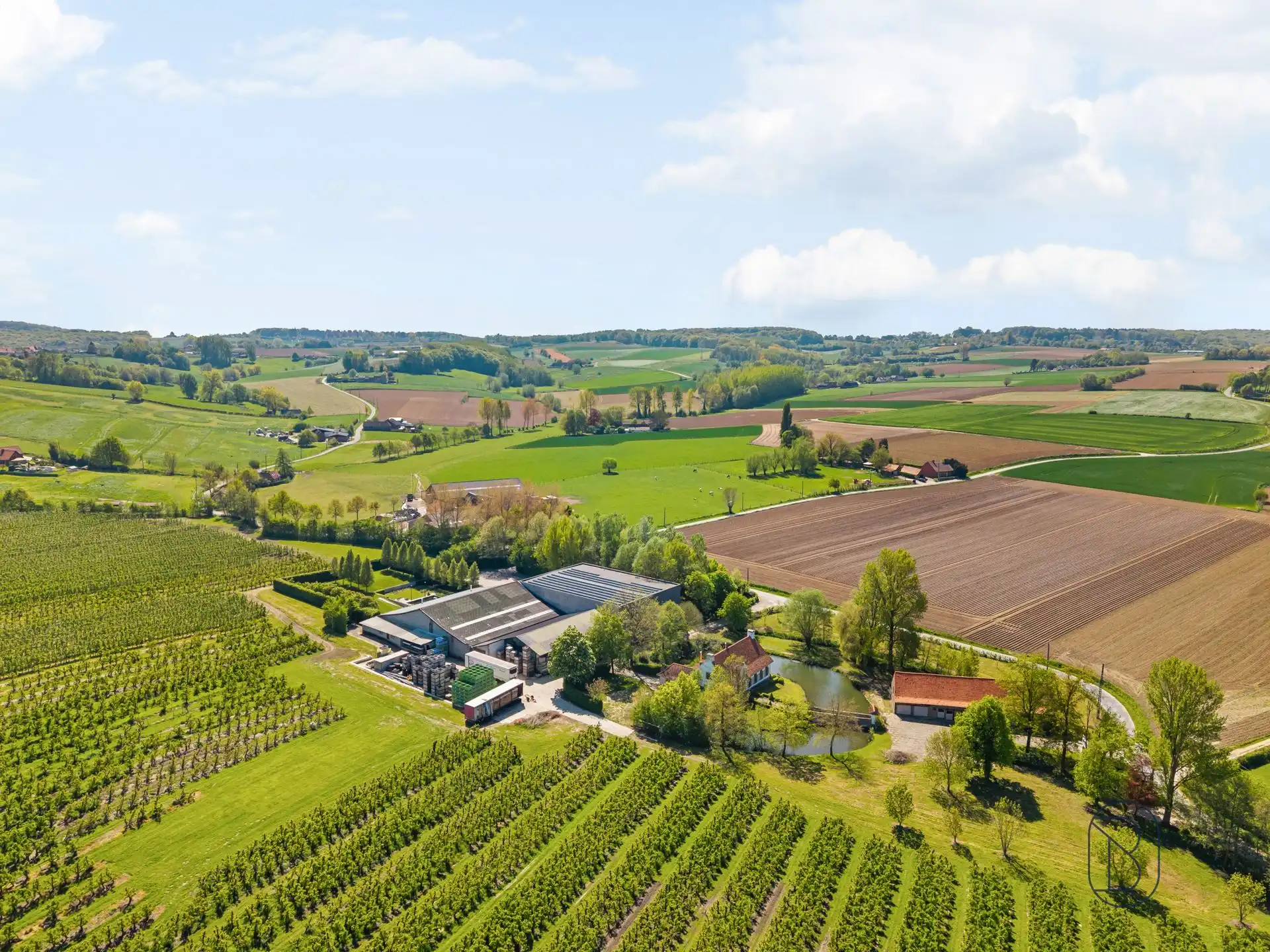 Unieke eigendom op 18 hectare te Kwaremont foto 5