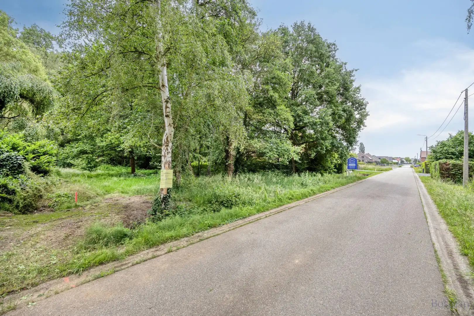 Bouwgrond op 16a 76ca te koop in Tessenderlo-Ham foto 9