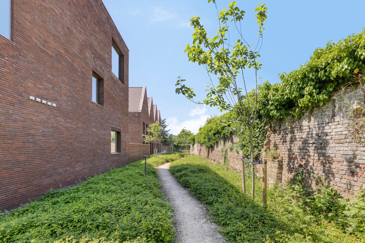 Schitterende, lichtovergoten woning in het gegeerde Oud-Rekem, Lanaken. foto 4