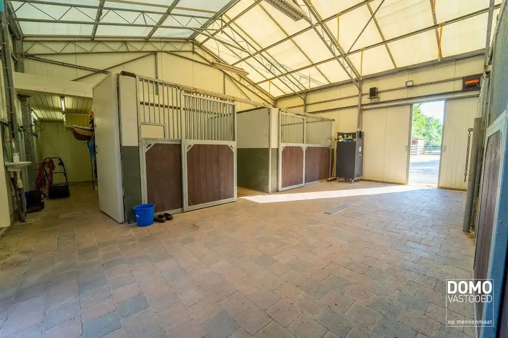 Ruime villa met paardenaccommodatie en wedstrijdstal gelegen te Herk-de-Stad - EPC-label: B - Bewoonbare vloeroppervlakte: 296m² foto 28