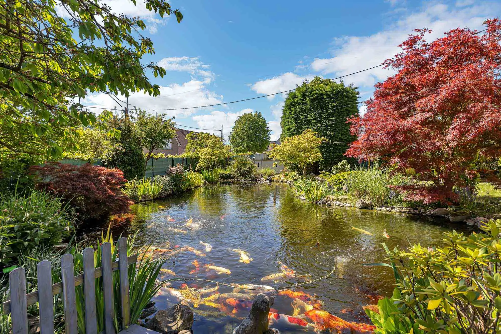 Karaktervolle gezinswoning met bouwgrond en veel potentieel foto 25