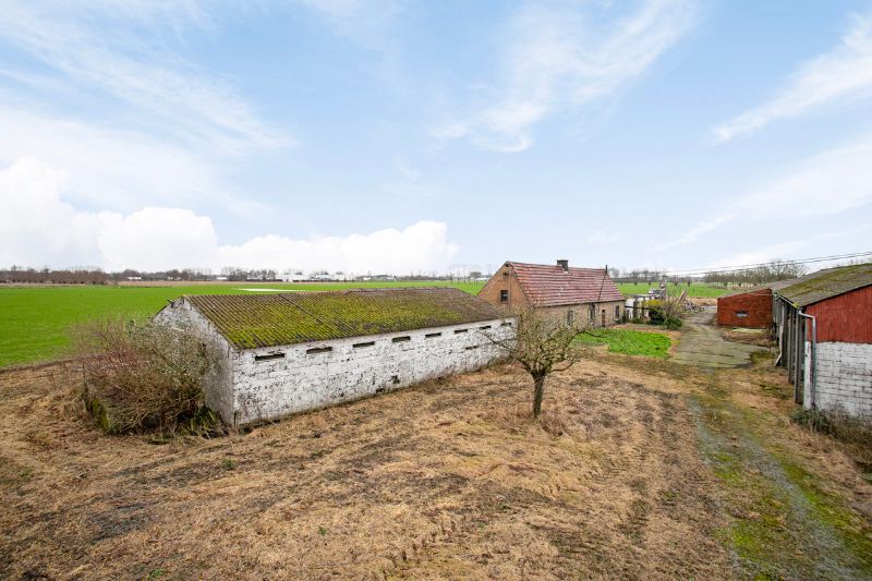 Uniek domein op 1 hectare in Landegem foto 5
