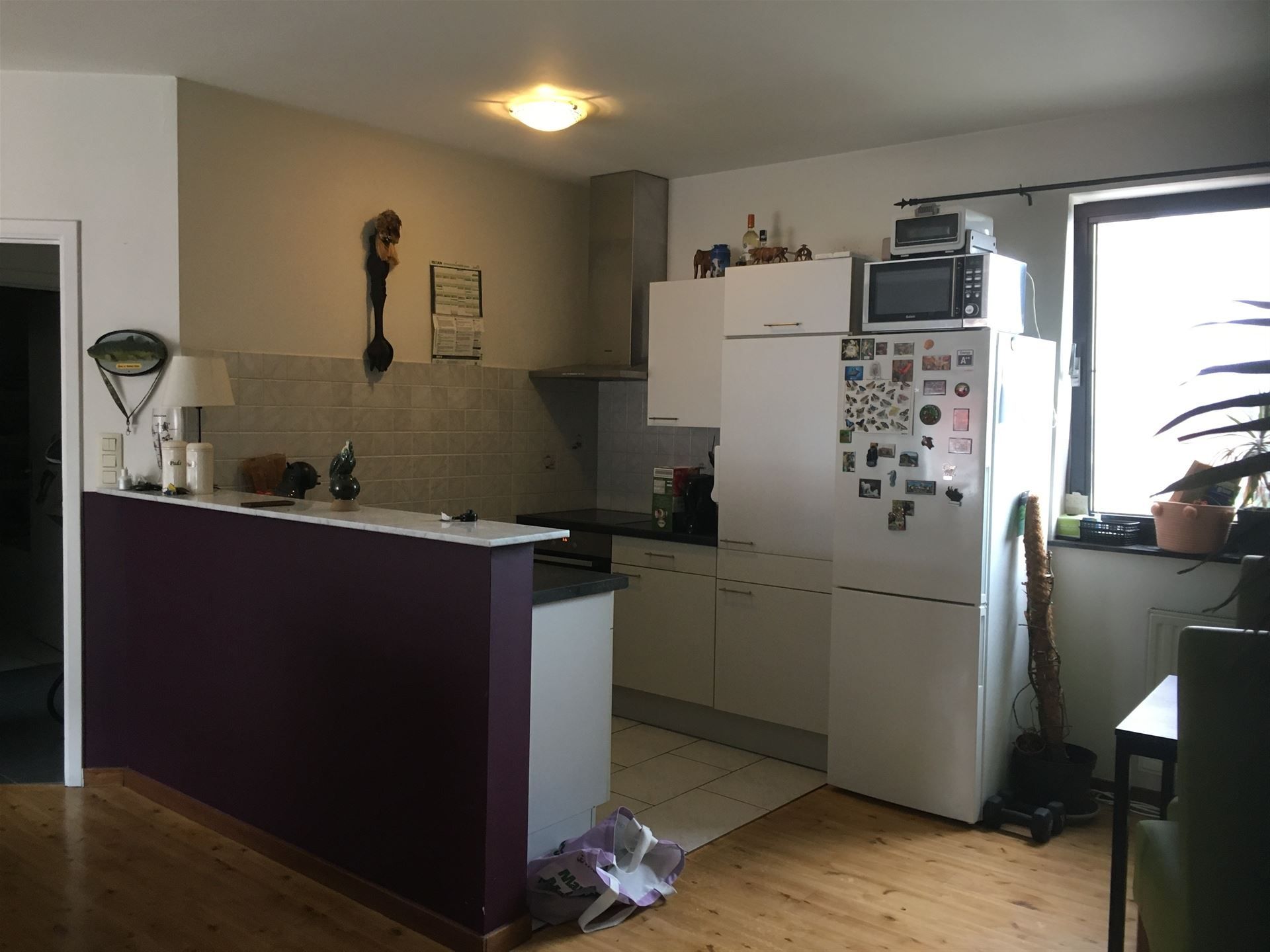 Appartement foto 5