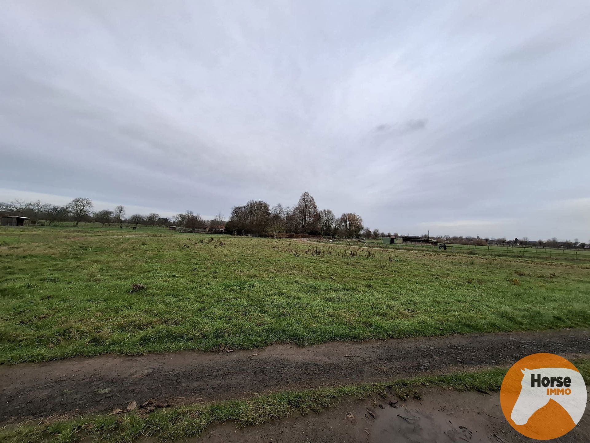 HAALTERT– Perceel weiland van 35a 76ca foto {{pictureIndex}}