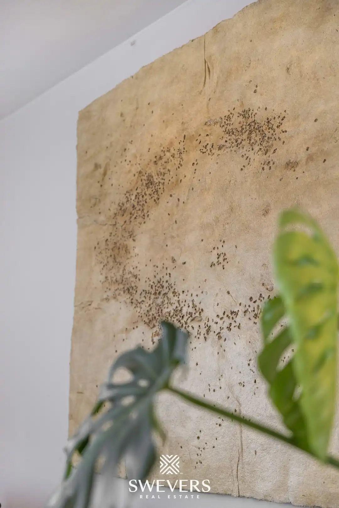 Zeer ruime, instapklare & energiezuinige woning op 9a28ca te Boekt foto 39
