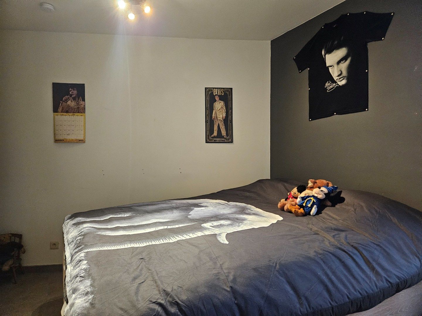 Rustig gelegen studio met ruim terras te St.-Jozef-Olen ! foto 5