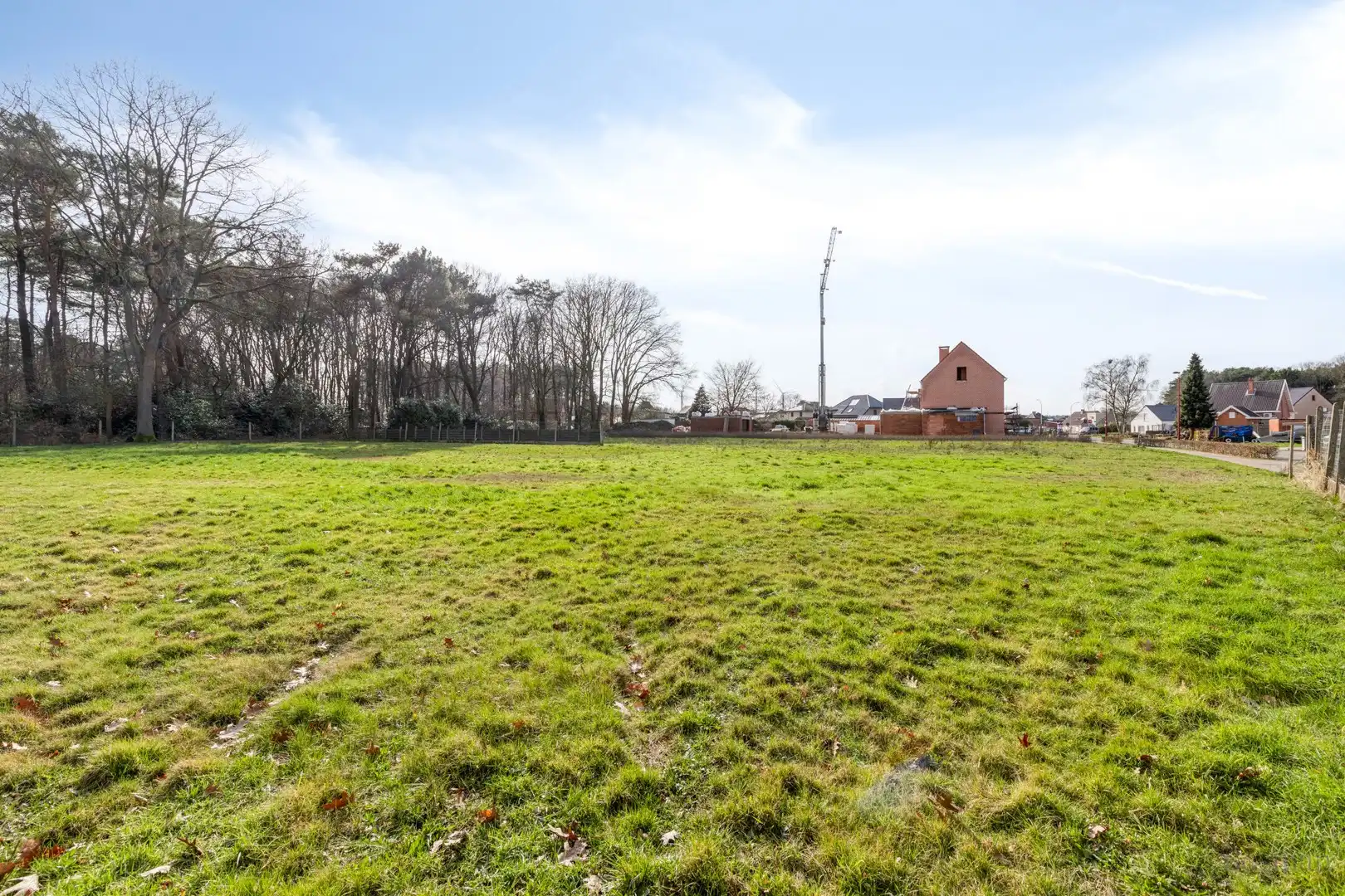 Bouwgrond voor open bebouwing in O.-L.-V.-Olen foto 6