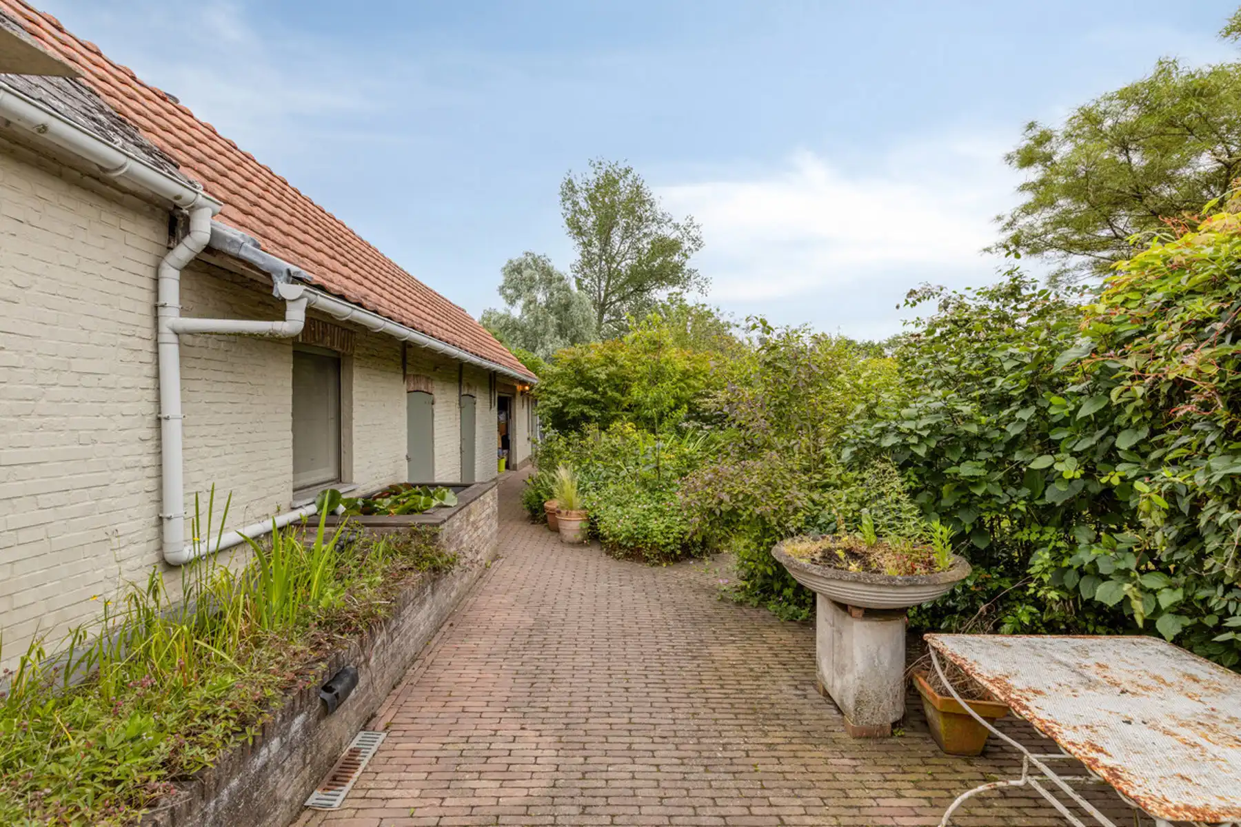 Boerderij te koop foto 12
