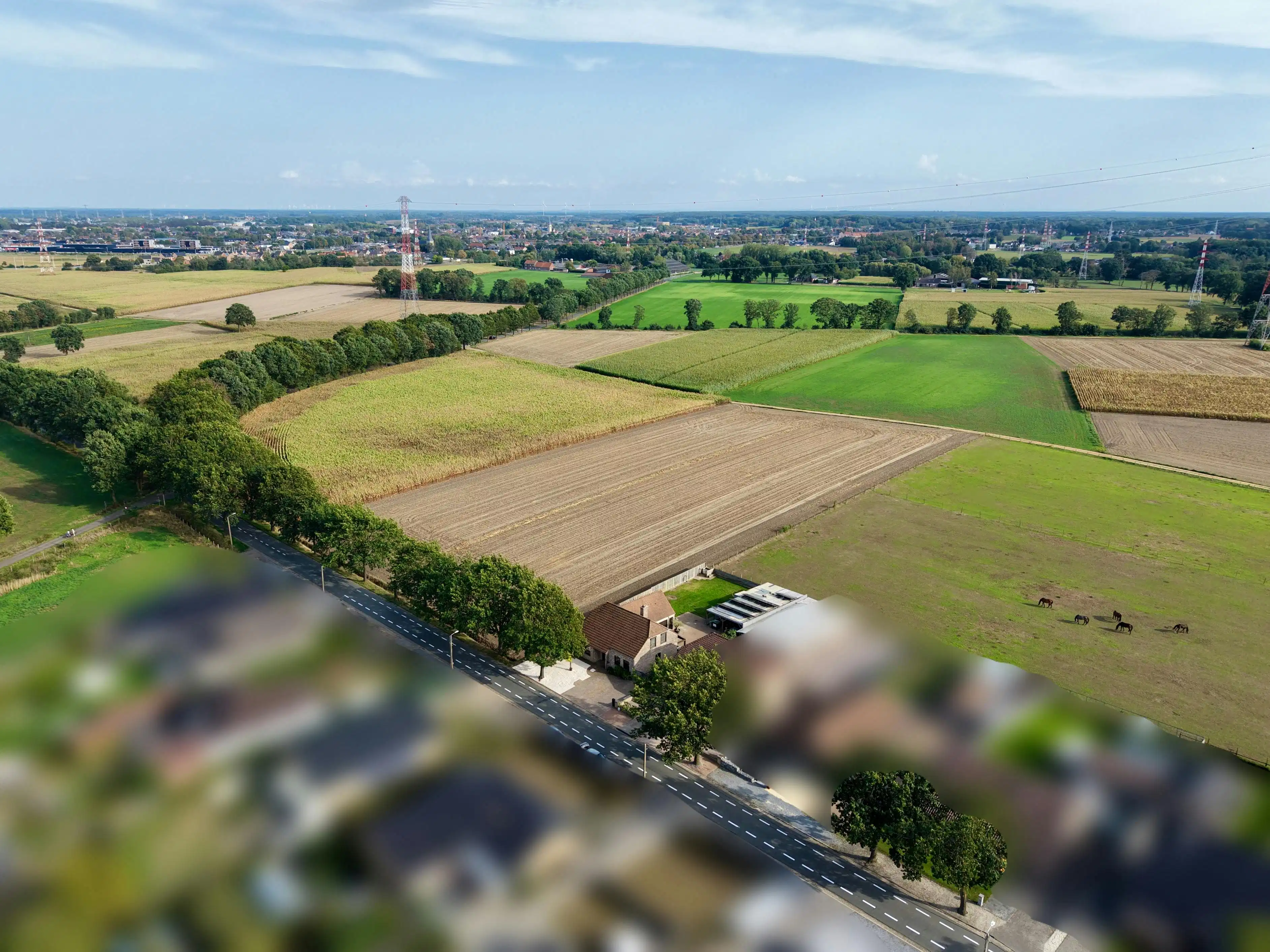 Landelijk gelegen huis met 4 slaapkamers nabij centrum Reppel  foto 13