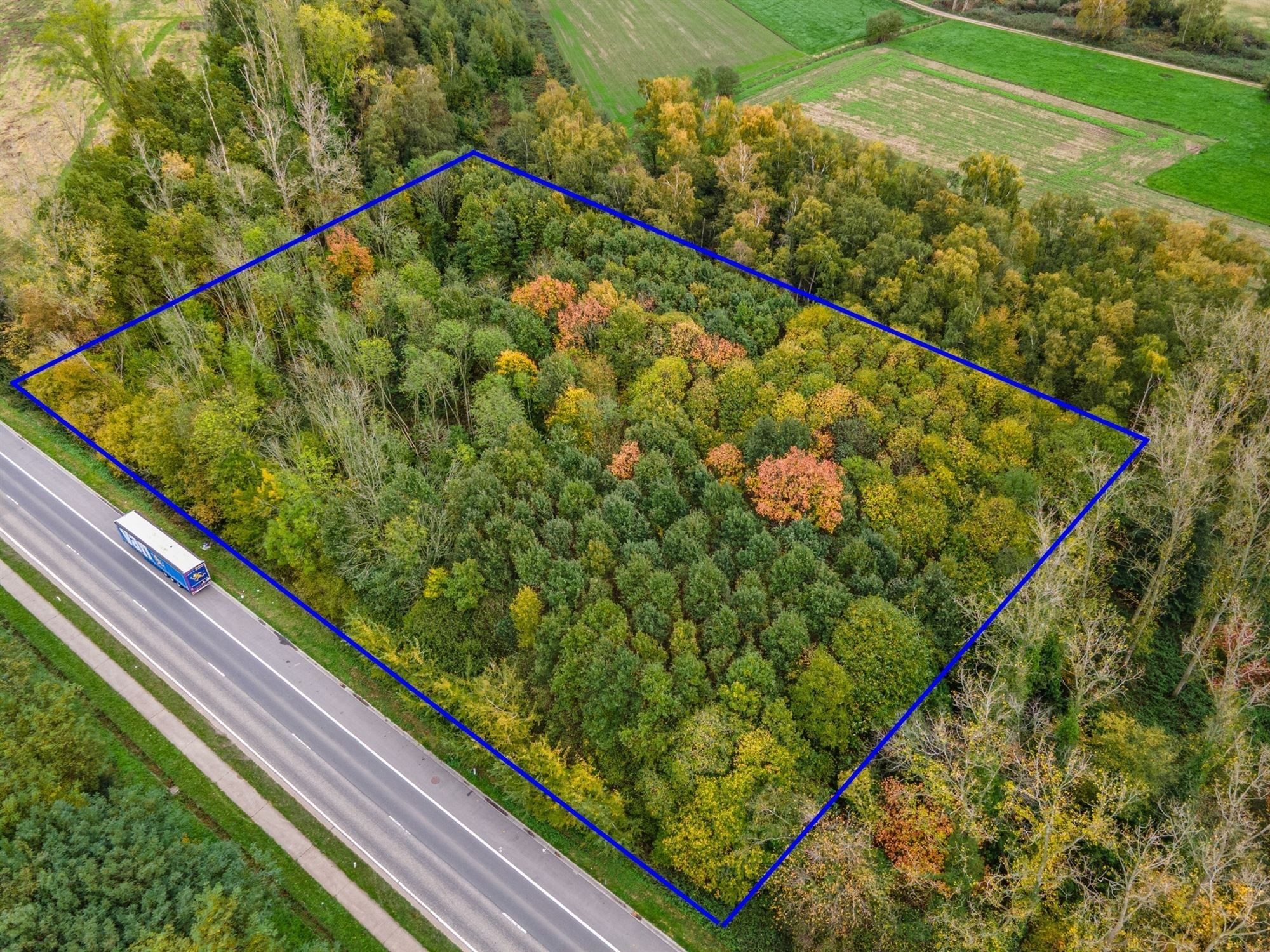 Prachtig perceel met bomen te Mechelen foto 5