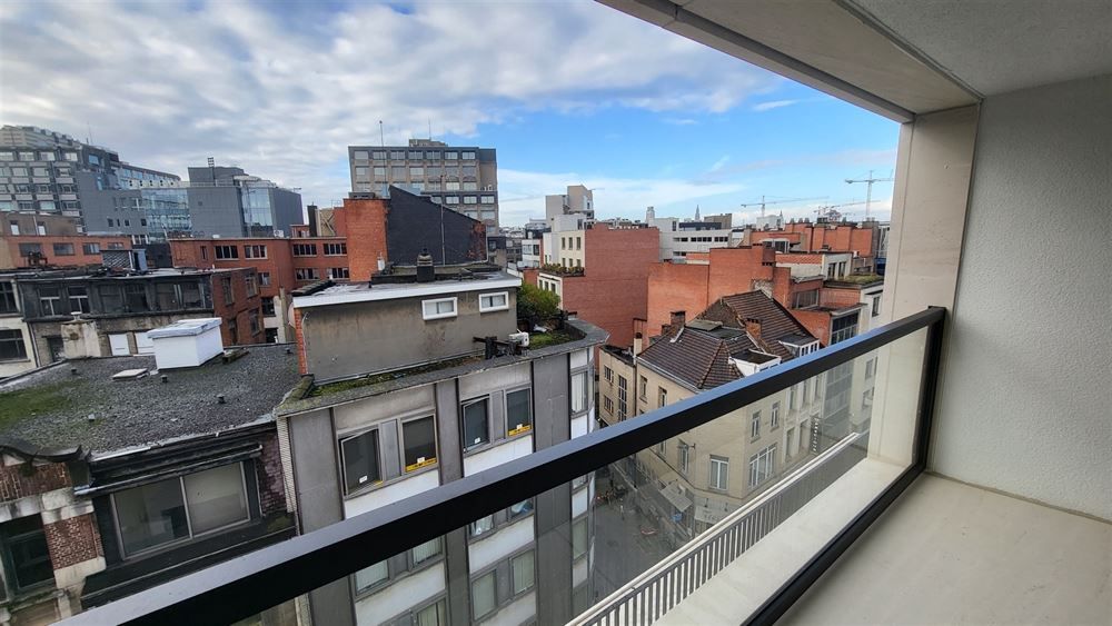 Gerenoveerd 3-slpkr appartement + aangenaam terras| Antwerpen-Centrum  foto 7