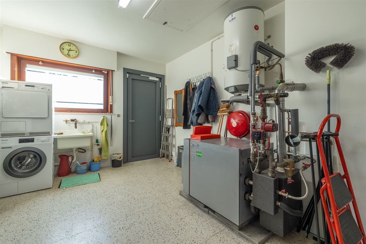 verborgen parel in het groen foto 26