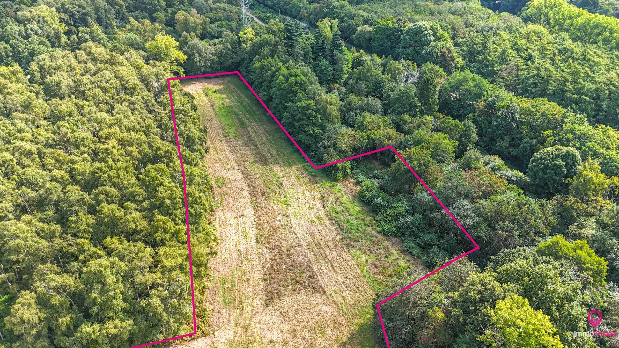 Uitgestrekt perceel van 3 hectare landbouw- of paardenweide! foto 11