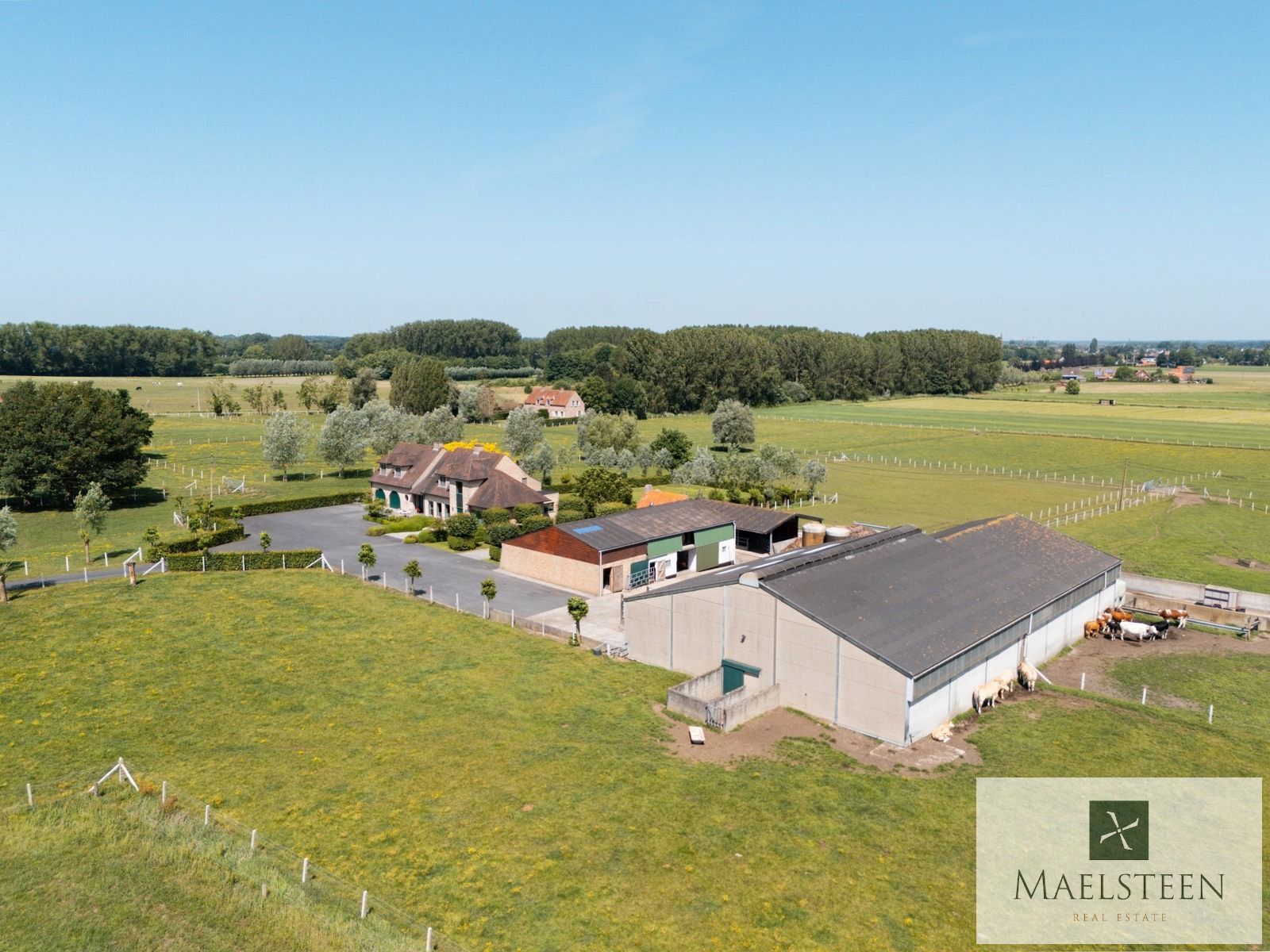 Boerderij op 1,5ha op de flank van Oedelem-berg  foto 43