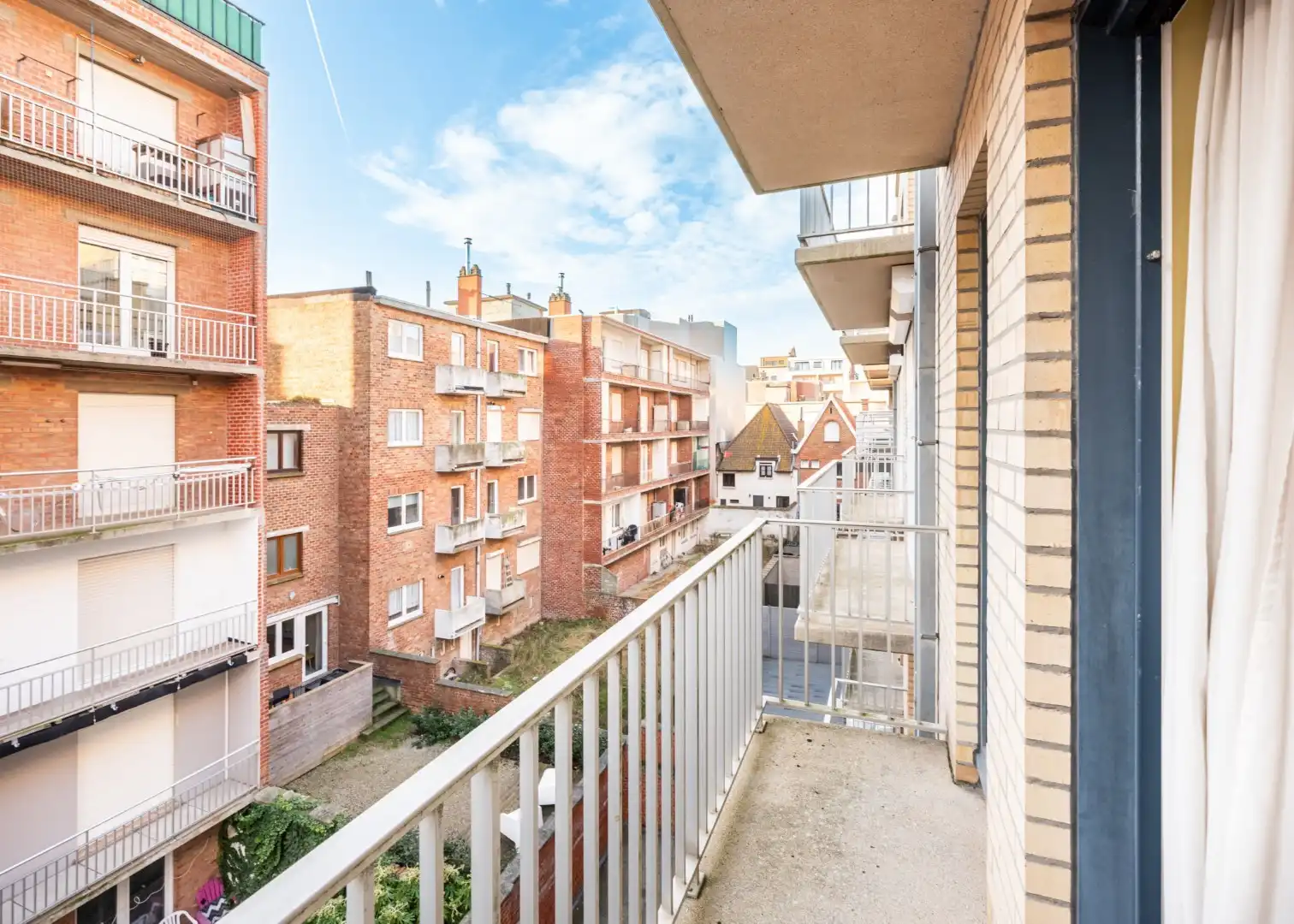 Calidris - 03.02 foto 16