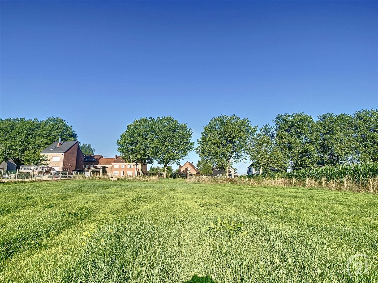 weidegrond met directe toegang tot de straat foto {{pictureIndex}}