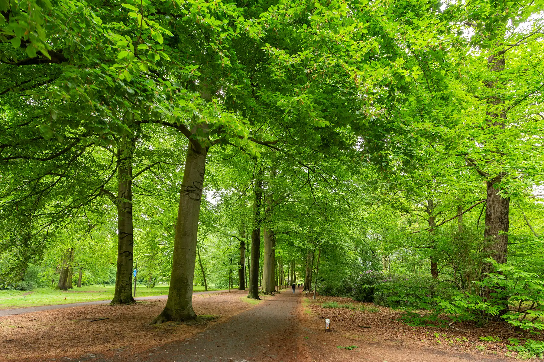 Park Den Brandt | Instapklaar 2 slpk app. + terras + P foto 20