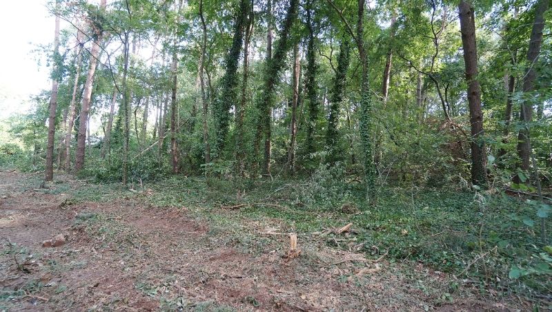 Residentieel gelegen bouwgrond van 31a10ca voor open bebouwing met private toegangsweg nabij golf- en meerdomein foto 6