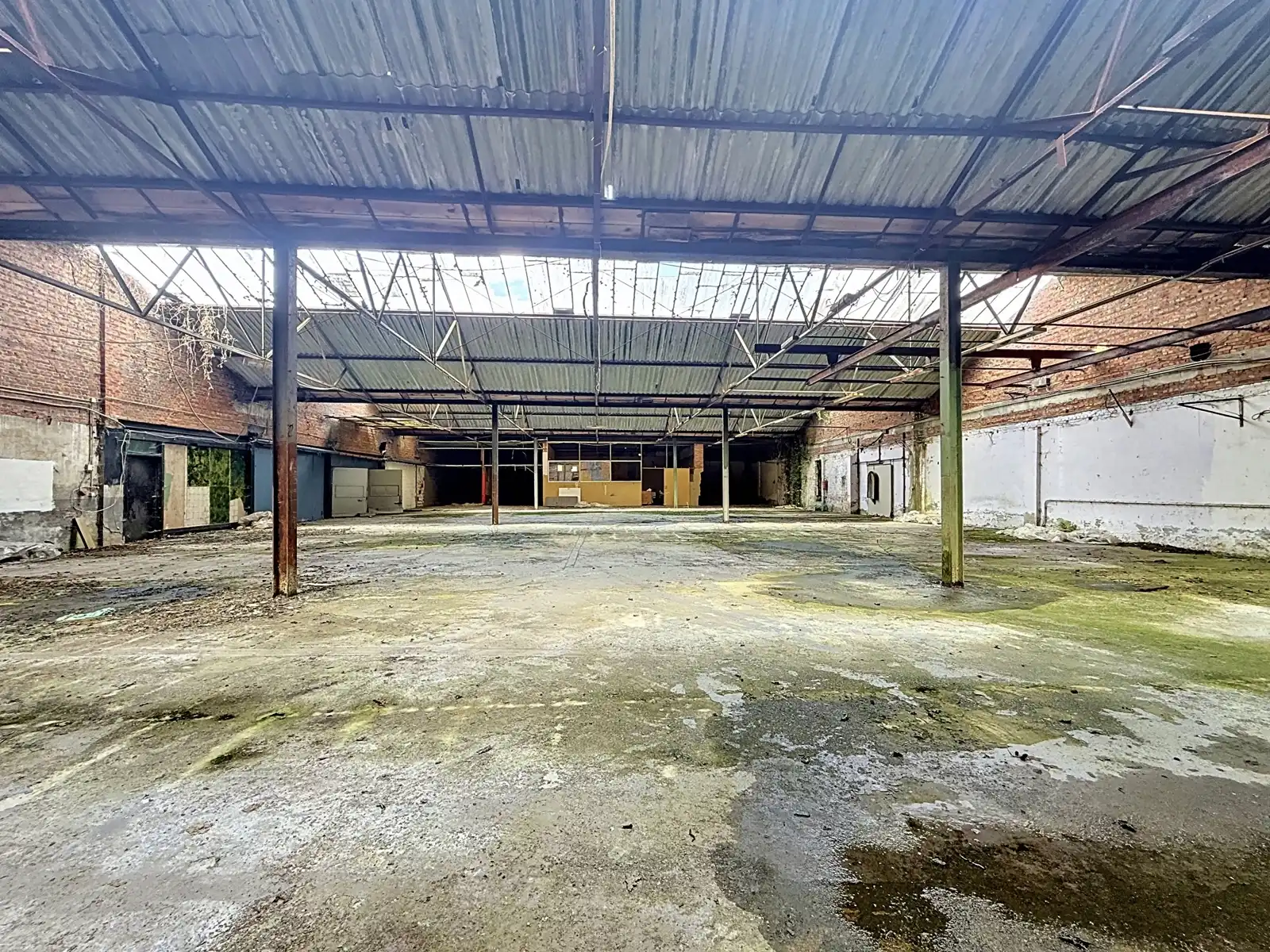 Unieke projectgrond met potentieel in Zichem foto 24