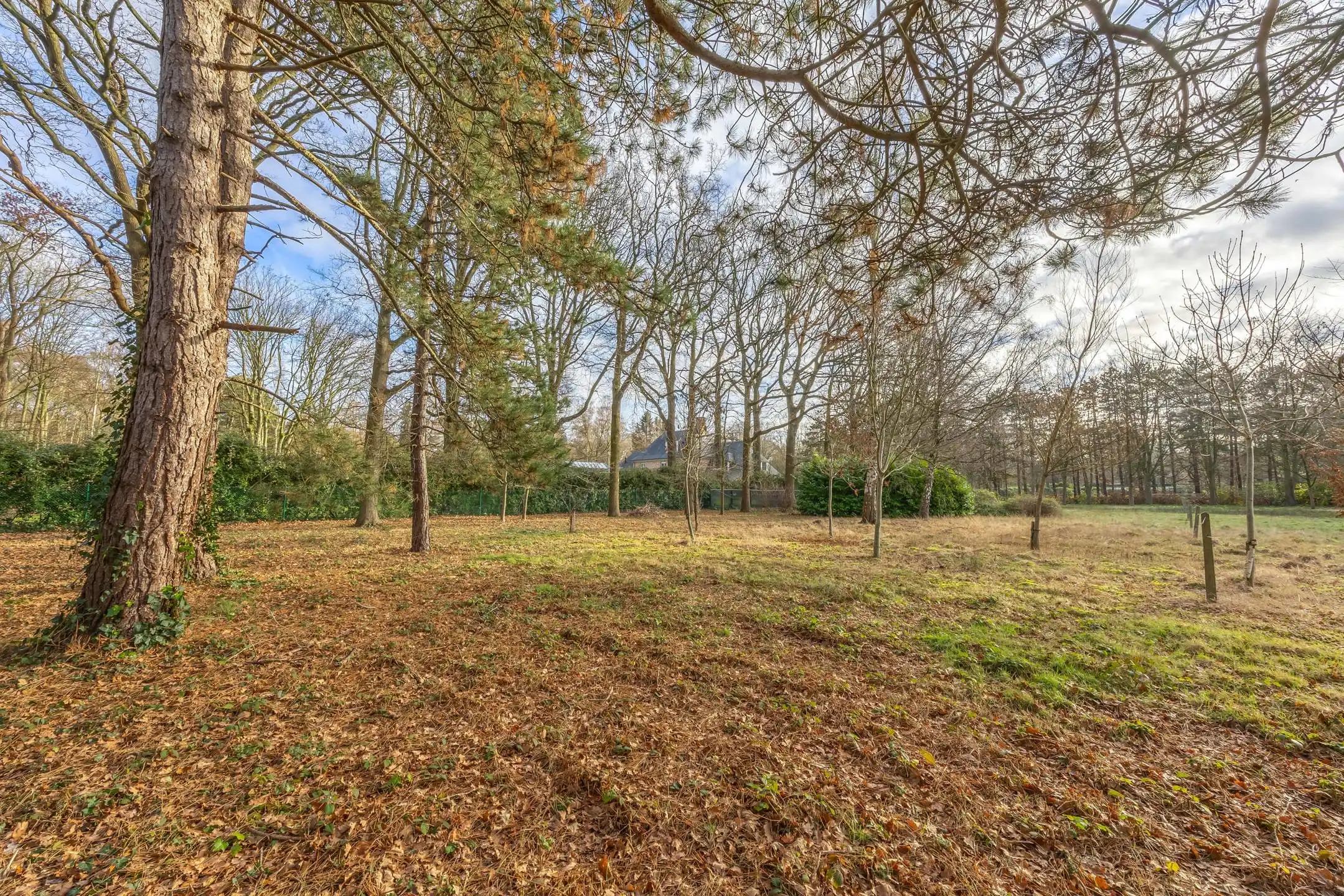 Grond te koop 2930 Brasschaat