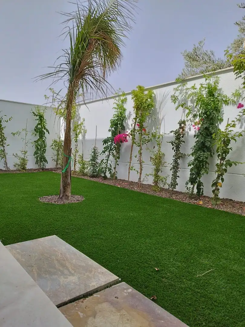 Villas Alejandra XII - Los Alcazares foto 7