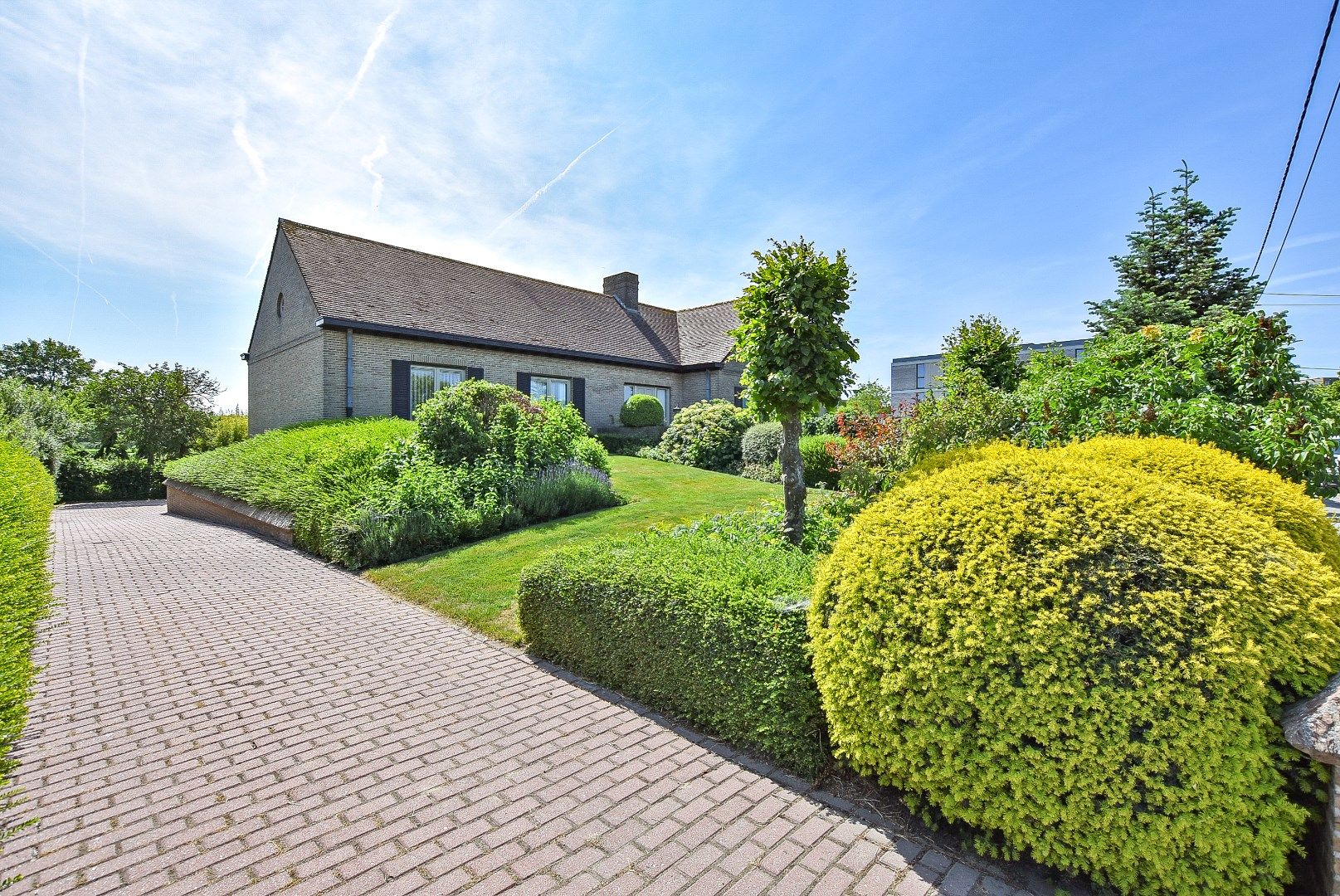 Ruime alleenstaande woning met grote tuin nabij centrum Diksmuide op 1681 m². foto 2