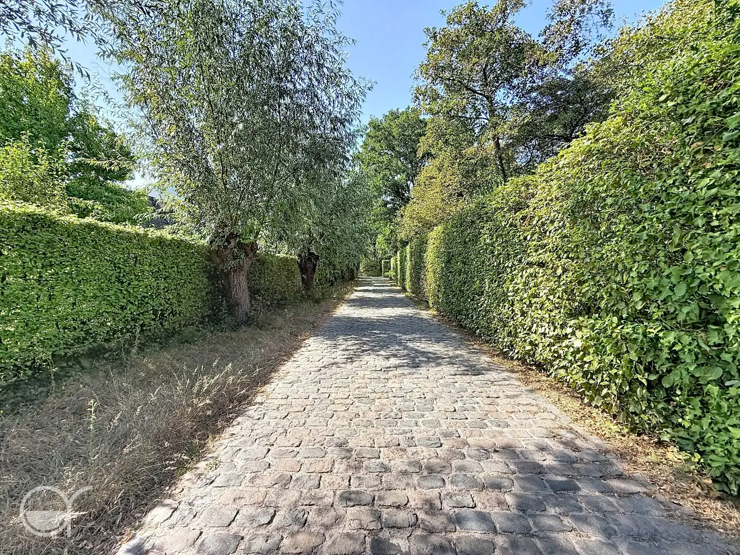 Ruime kangoeroewoning te huur - 2 volwaardige woningen! foto 2