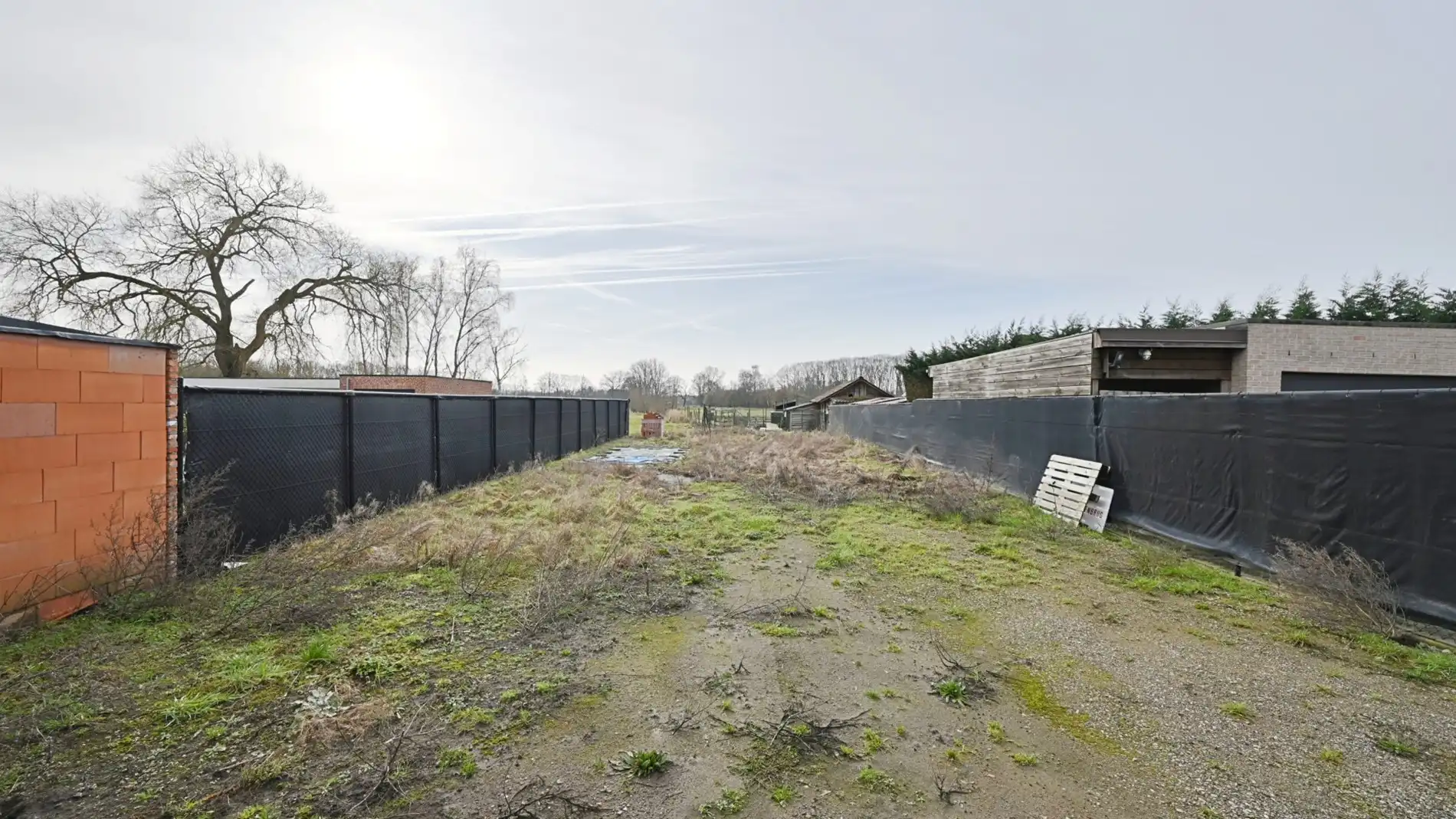 Mooi Z-gericht perceel voor HOB met weids zicht te Begijnendijk foto 9