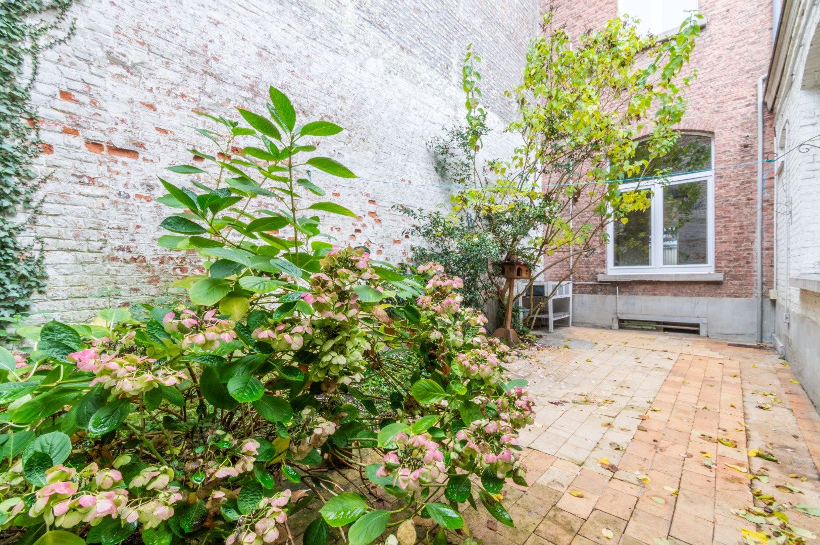 Een mooie te renoveren stadwoning met terras foto 3