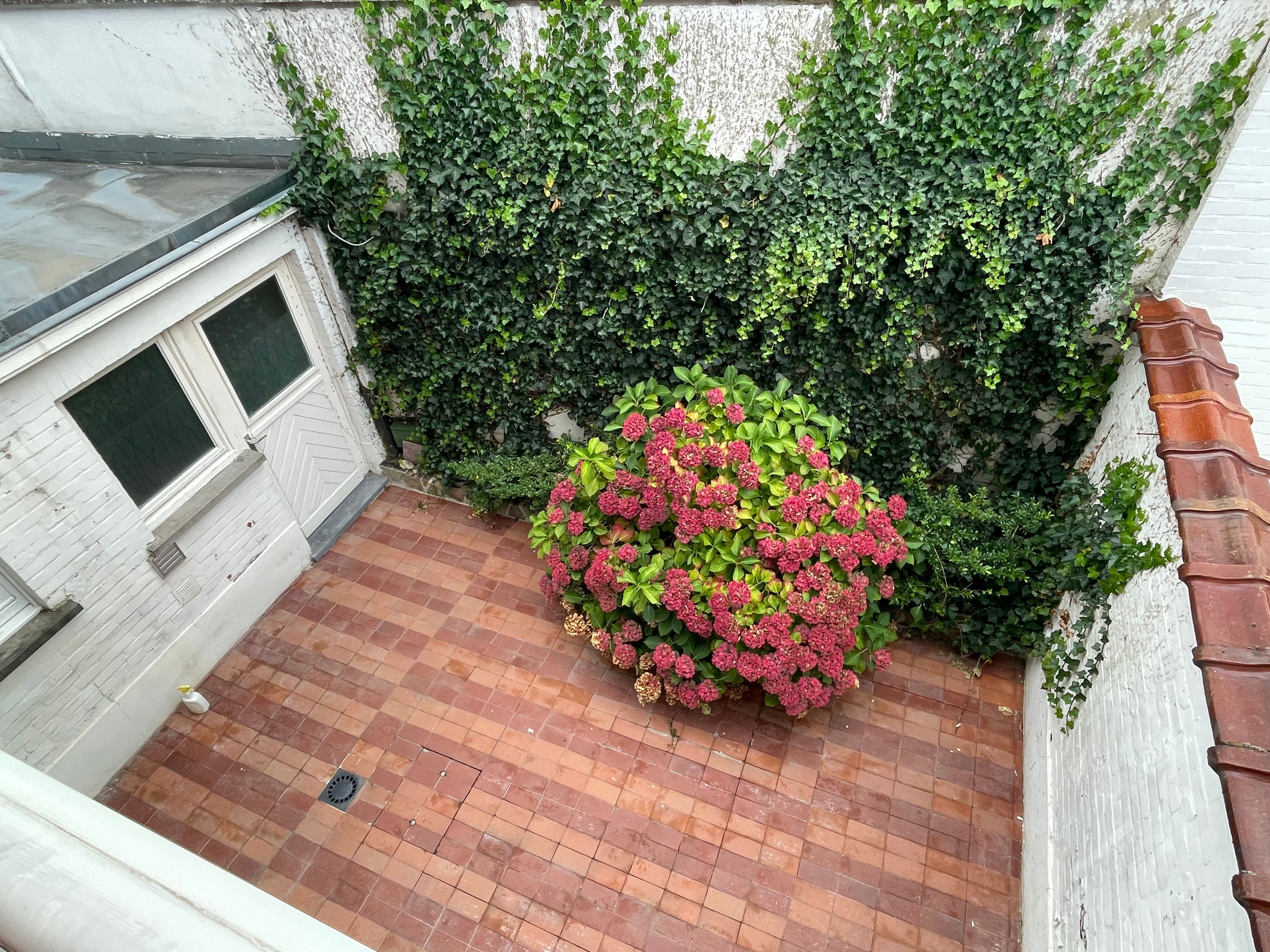 Ruime vier-slaapkamer BURGERWONING + garage & groot terras foto 30