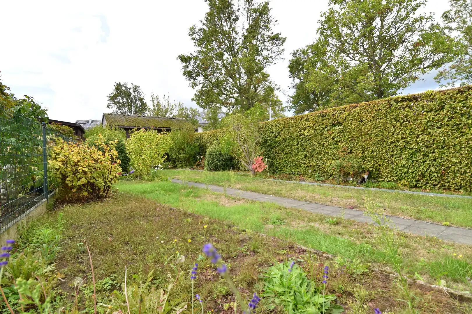 Woning op hoekperceel met 3 slaapkamers, garage en zalige tuin te koop in Gullegem foto 12