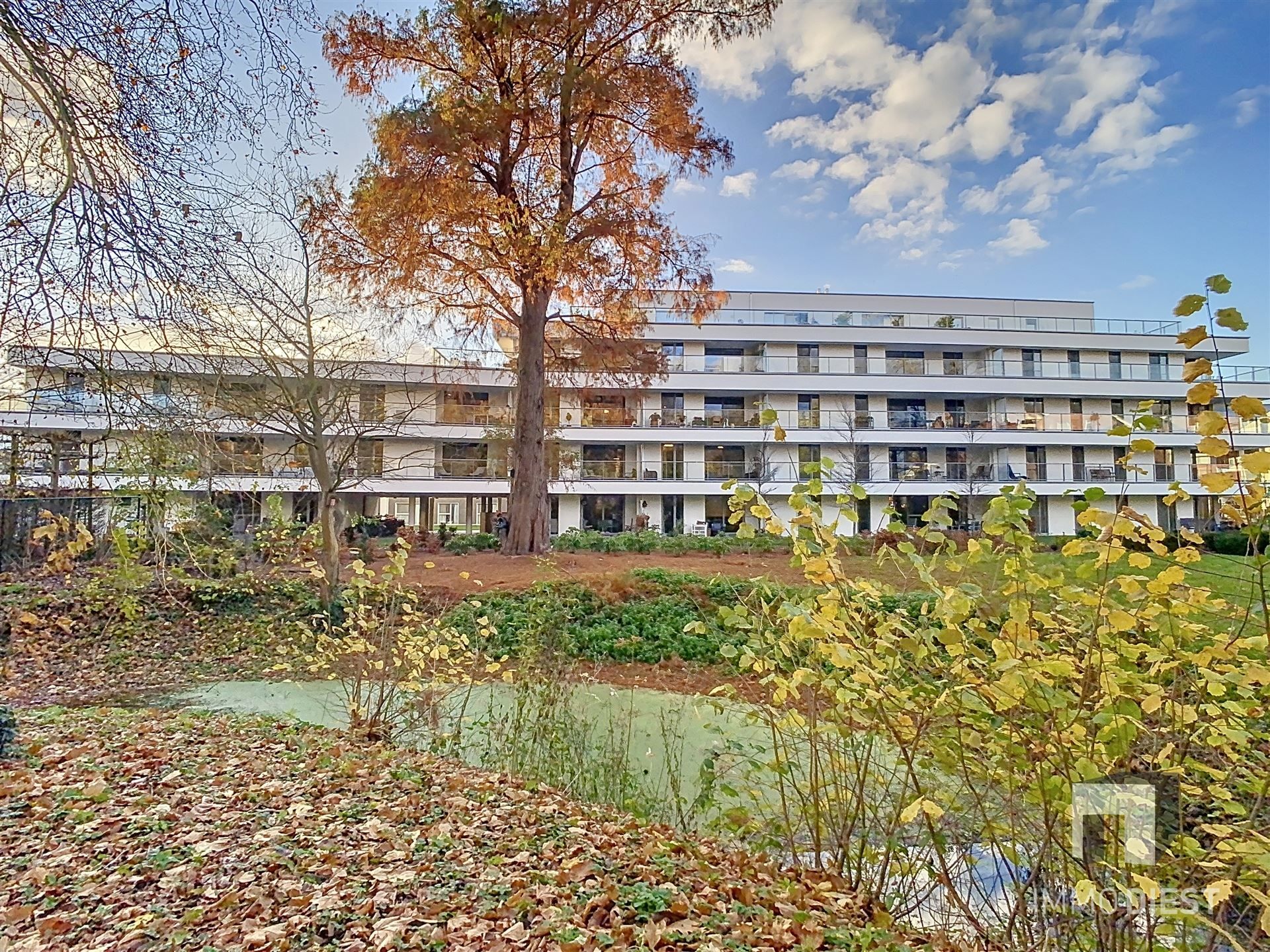 Luxeflat met eeuwig zicht op Stadspark Ezeldijk foto 3