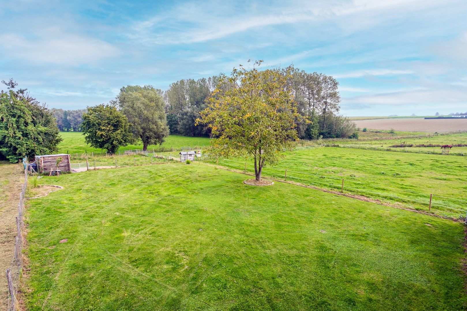 Instapklare hoeve op 1,1ha te Pepingen foto 26