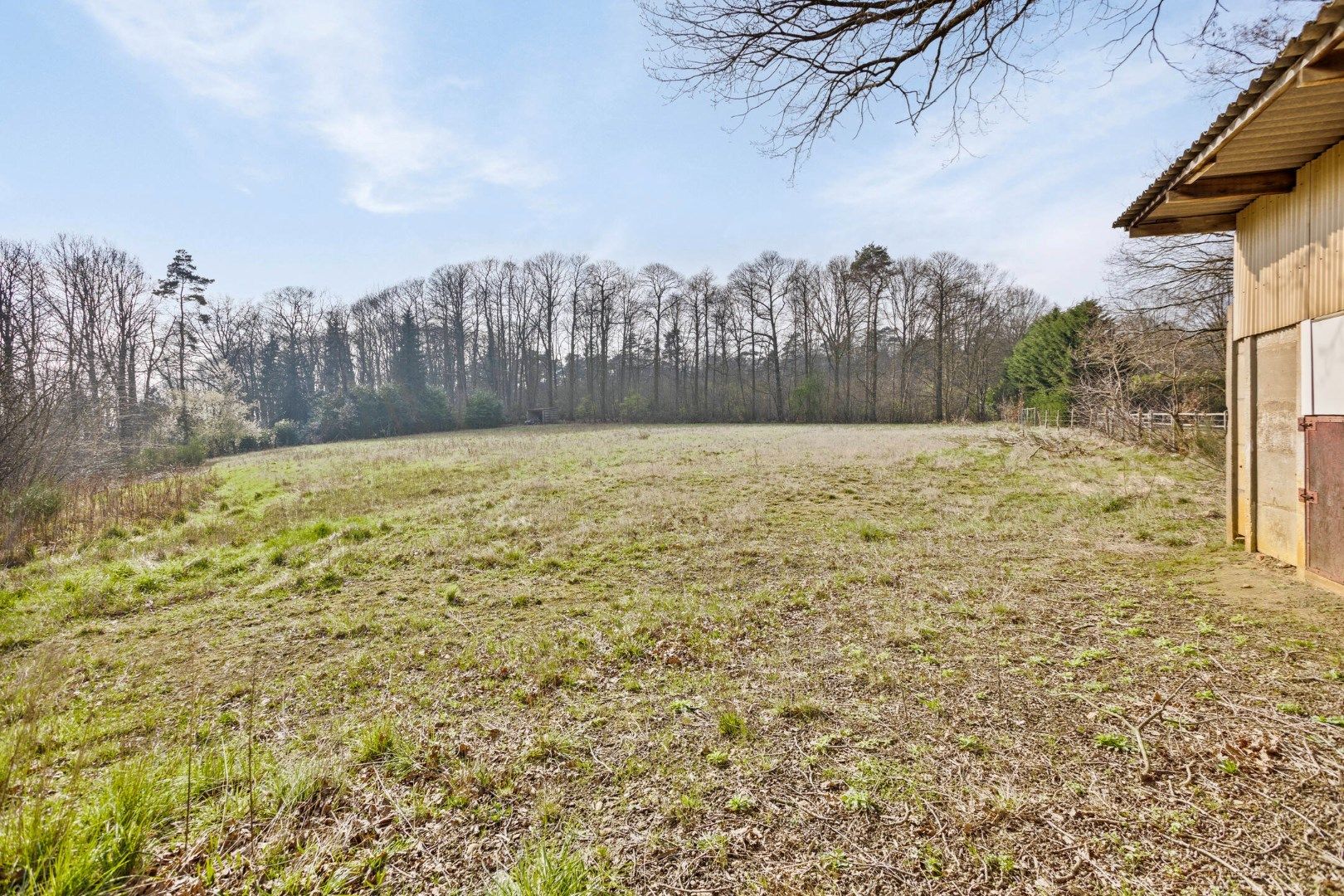 Uniek project: te renoveren woning op een perceel van bijna 1 hectare in Kessel-Lo. foto 25